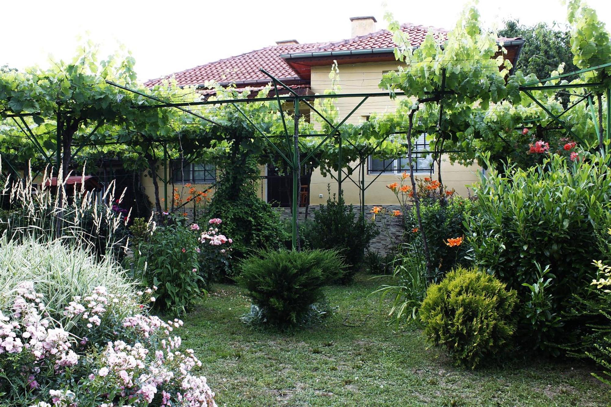 Guesthouse Planinsko Gnezdo Tŭzha Exterior foto
